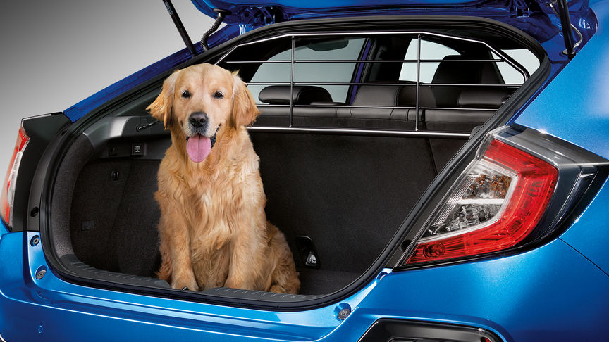 Vue de trois quarts arrière de la Honda Civic 5 portes avec grille pare-chien.