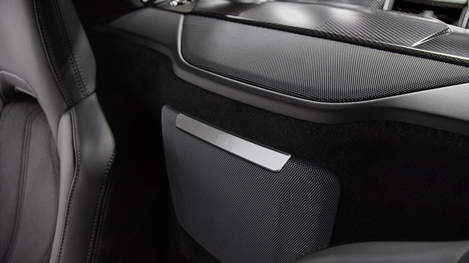 Clich&eacute; d'un haut-parleur NSX