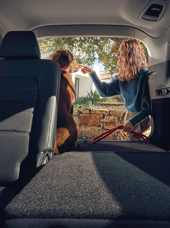 Vue intérieure d'une voiture avec un toit panoramique en verre laissant entrer le ciel bleu et la lumière du soleil, avec des sièges avant en cuir et des appuie-tête illuminés par la lumière naturelle.