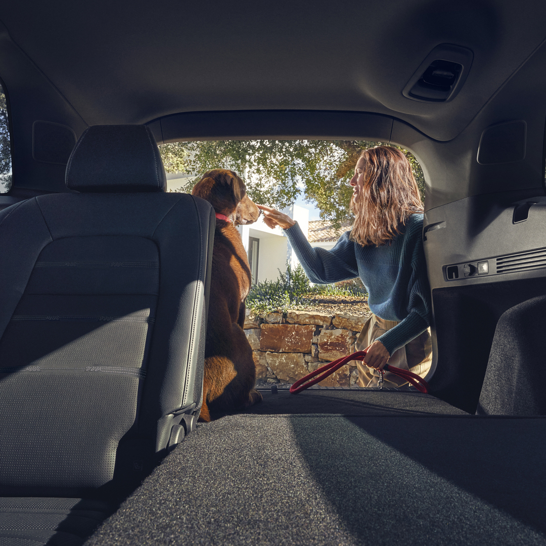 Arrière d'une Honda CR-V hybride avec les sièges arrière rabattus et un chien dans le coffre.