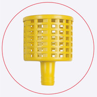 Vue rapproch&eacute;e de la cr&eacute;pine.