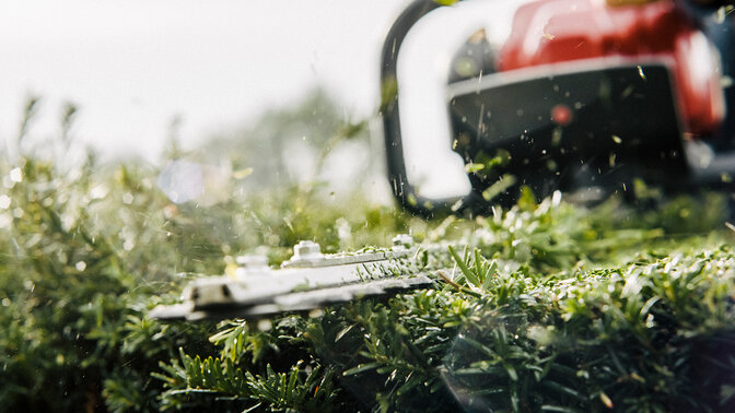 Gros plan sur un taille-haies en cours d'utilisation