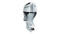 BF 175 XDU IST (DBW)