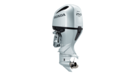 BF 250 LDU IST (DBW)