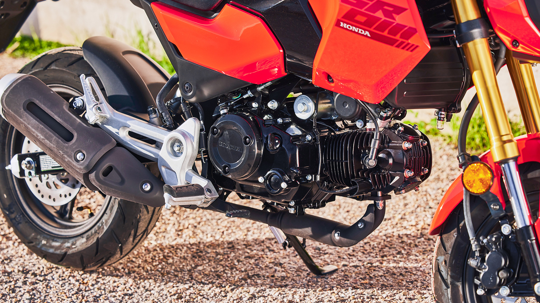 Gros plan sur le moteur du MSX125 Grom