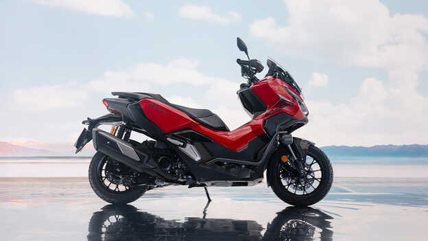 Gros plan sur les pneus Dax 125