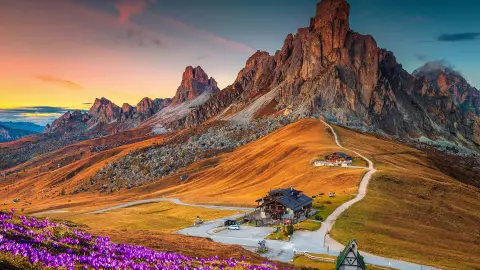 Magnifique paysage alpin orné de fleurs de crocus de printemps sur collines et montagnes spectaculaires au coucher du soleil, col de Giau, Dolomites, Italie, Europe