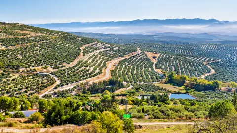 Vue de paysage traditionnel de montagne en été d’Espagne avec route