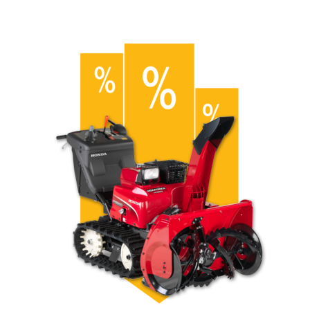 Fraises &agrave; neige, illustration offres.