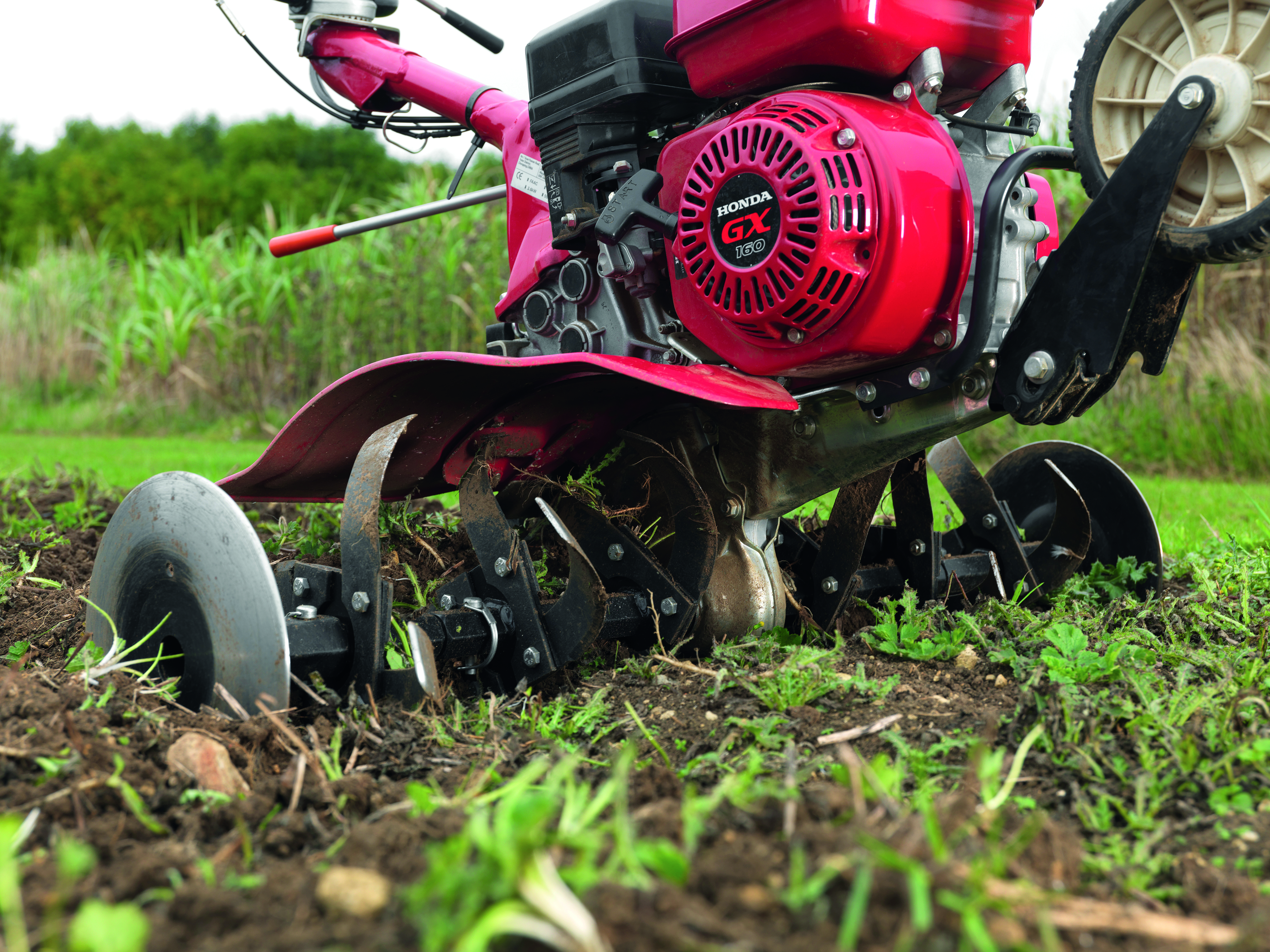 Le motoculteur : biner la terre pour la préparer au semis ou à l’aménagement d’une pelouse