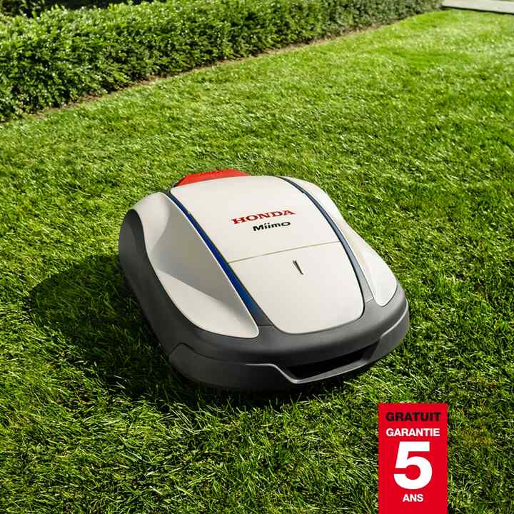 New Miimo in a garden 