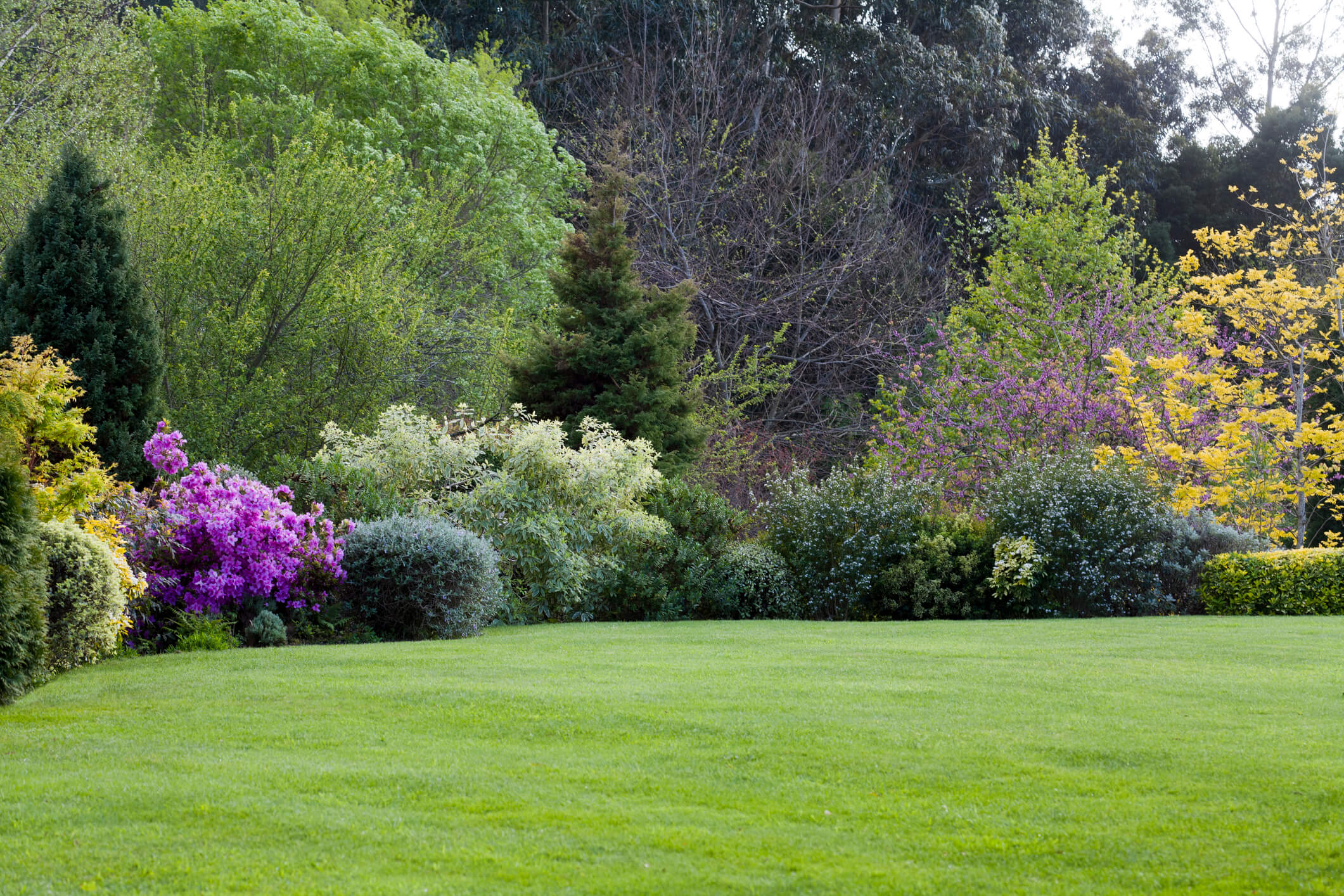 5 conseils pour entretenir un grand jardin