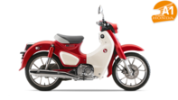 Honda Super Cub C125